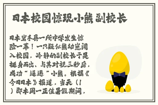 成品网站源78w78的用户评价